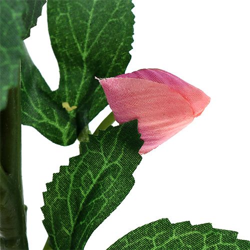 Floristik24 Julerosa lyserød L22cm 1p