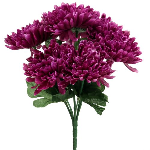 Floristik24 Chrysanthemum aubergine med 7 blomster