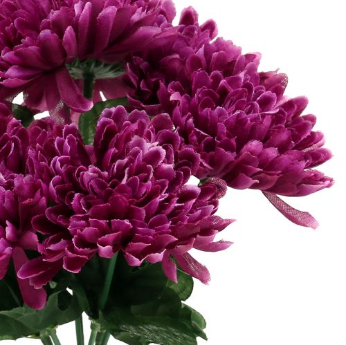 Artikel Chrysanthemum aubergine med 7 blomster