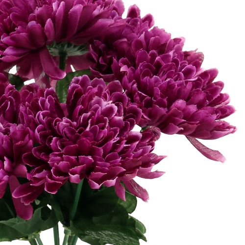 Floristik24 Chrysanthemum aubergine med 7 blomster