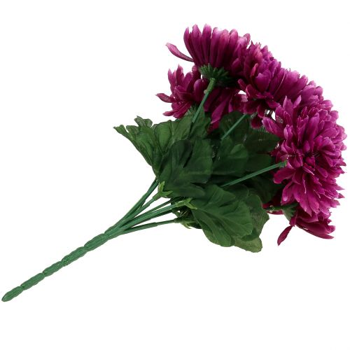 Floristik24 Chrysanthemum aubergine med 7 blomster