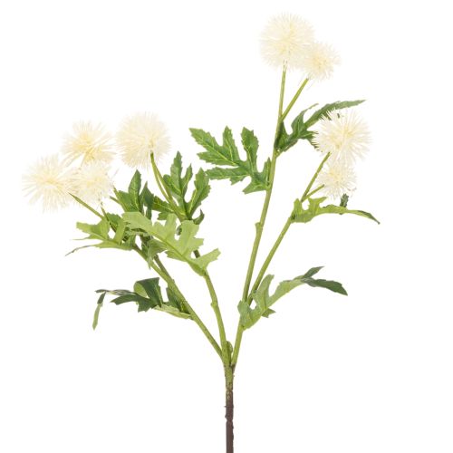 Kunstig krysantemumblomst, cremehvid buket, dekorativ gren, stor 56 cm, 4 stk. | Floristik24.dk