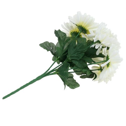 Floristik24 Krysantemum hvid med 7 blomster