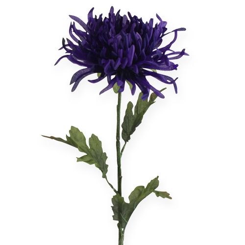 Floristik24 Krysantemum lilla 74cm