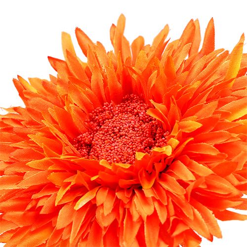 Artikel Chrysanthemum bamse 63 cm orange