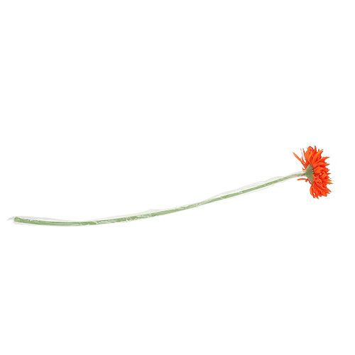 Floristik24 Krysantemum Bamse 63cm Orange