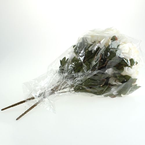 Floristik24 Chrysanthemum bush creme 47cm 2stk