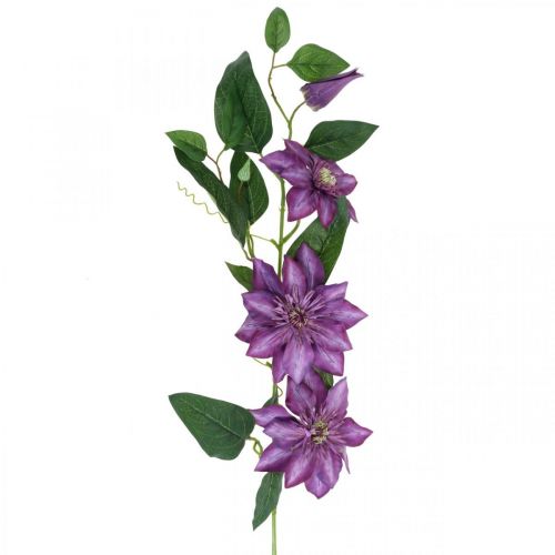 Floristik24 Kunstig klematis, silkeblomst, dekorativ gren med klematisblomster violet L84cm