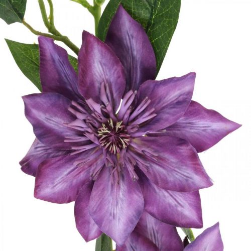 Artikel Kunstig klematis, silkeblomst, dekorativ gren med klematisblomster violet L84cm