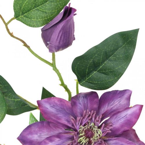 Floristik24 Kunstig klematis, silkeblomst, dekorativ gren med klematisblomster violet L84cm