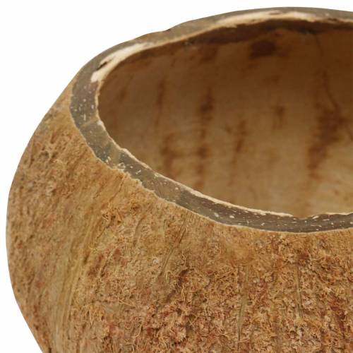 Artikel Kokosnødeskal naturligt sæt med 5