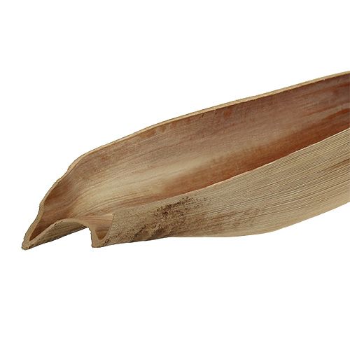 Floristik24 Kokosnøddeskalfladeblad 60-80cm naturlig