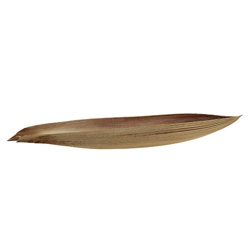 Floristik24 Kokosnøddeskalfladeblad 60-80cm naturlig