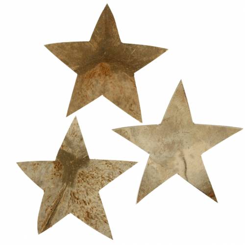 Floristik24 Kokosnødestjerne natur 10 cm 20stk Julepynt med træstjerner