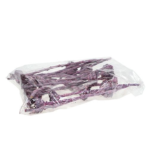 Artikel Compacta Rosette Frosted Blackberry 20 stk