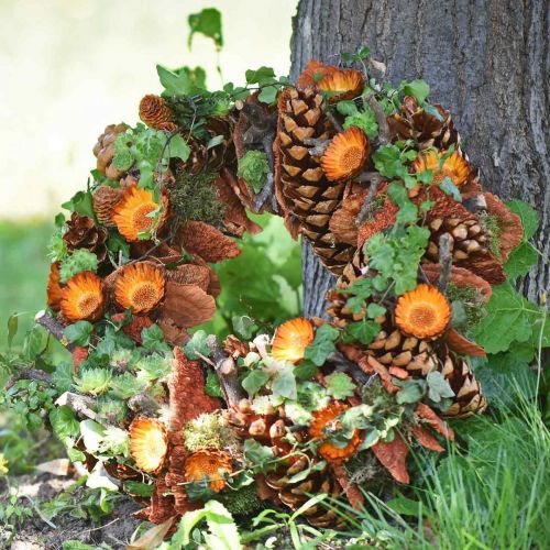 Artikel Compacta Rosette 100 stk