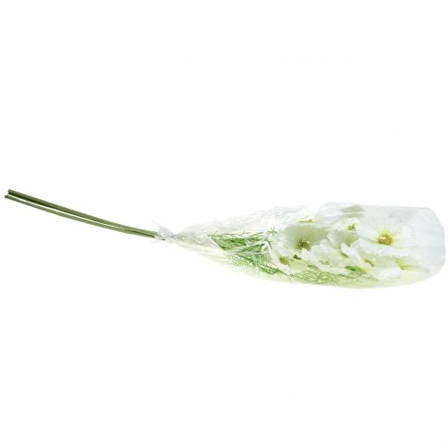 Floristik24 Cosmea hvid 77cm 3stk
