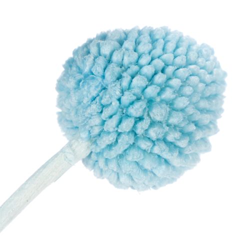 Artikel Craspedia tørrede blomsterdekoration til vase, minimalistisk stil, langvarig sommerdekoration, 55 cm, 20 stk.