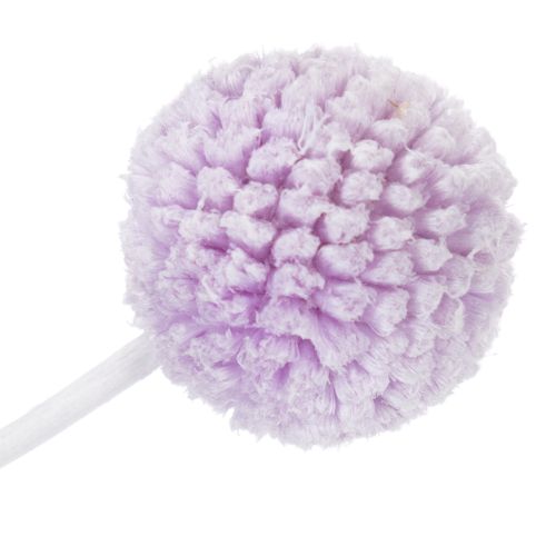 Artikel Craspedia tørrede blomster til moderne borddekoration i dit hjem, 55 cm, 20 stk.