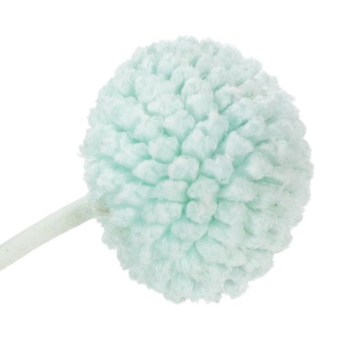 Artikel Tørrede Craspedia-blomster, dekorativ buket til stue, borddekoration, bryllup, 55 cm, 20 stk.