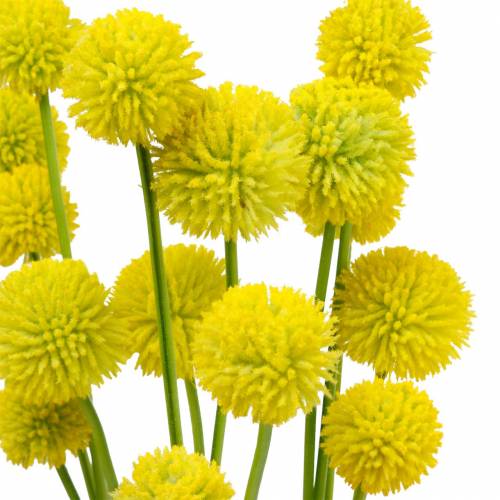 Floristik24 Trommestikker Craspedia Gul Kunstig Haveblomst Silkeblomster 15 stk