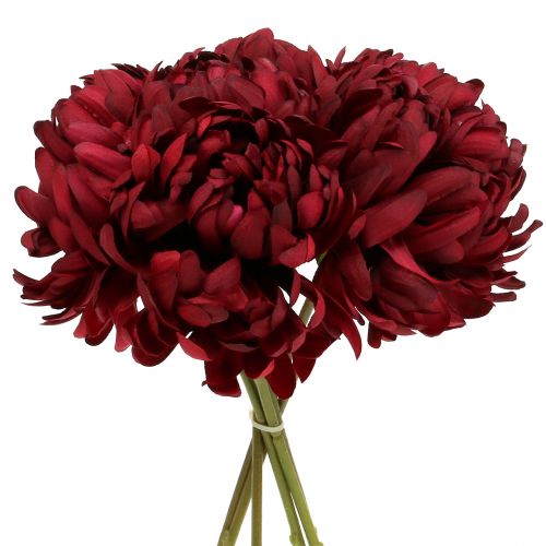 Floristik24 Chrysanthemum buket Bordeaux 28cm 6stk