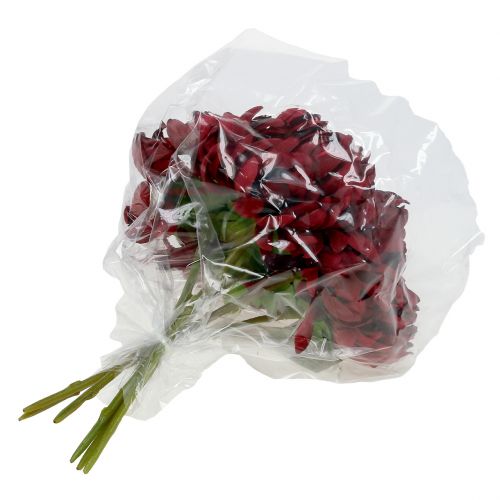 Floristik24 Chrysanthemum buket Bordeaux 28cm 6stk