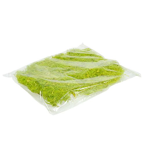 Floristik24 Krøllet mos lysegrøn 350g