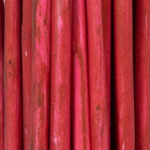 Artikel Tørret dekorativ gren af krøllet pil til kreativ blomsterdekoration og boligtilbehør 80 cm 70 g