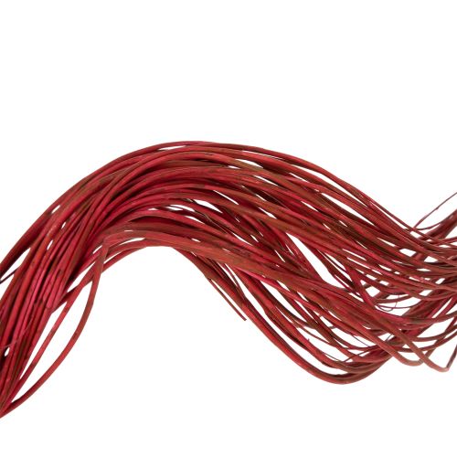 Artikel Tørret dekorativ gren af krøllet pil til kreativ blomsterdekoration og boligtilbehør 80 cm 70 g