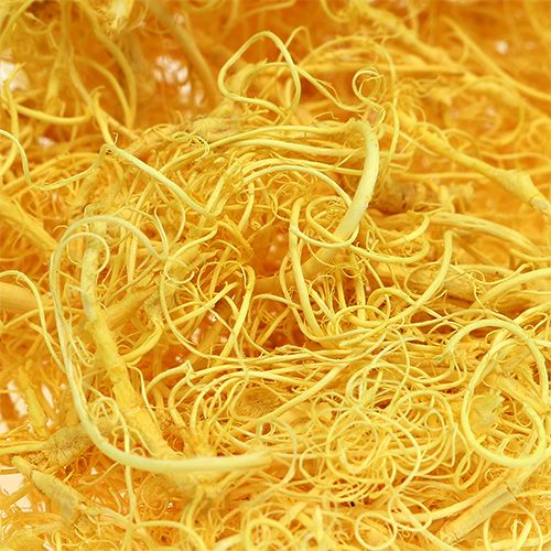 Floristik24 Krøllet mos lysegul 350g