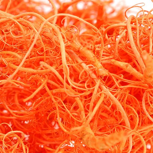 Floristik24 Krøllet Moss Orange 350g