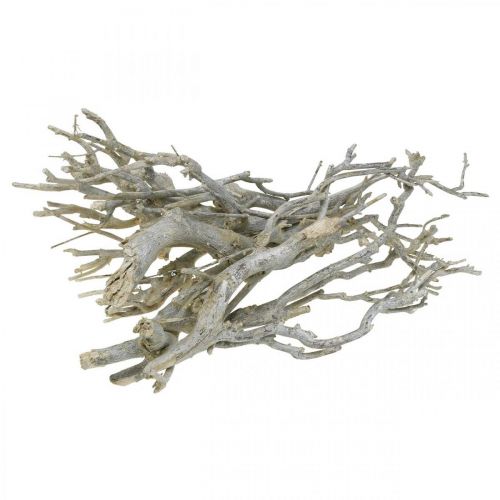 Floristik24 Karrybusk dekorative grene, juledekoration, advent, naturdekoration Gylden, vasket hvid L25–30cm 500g