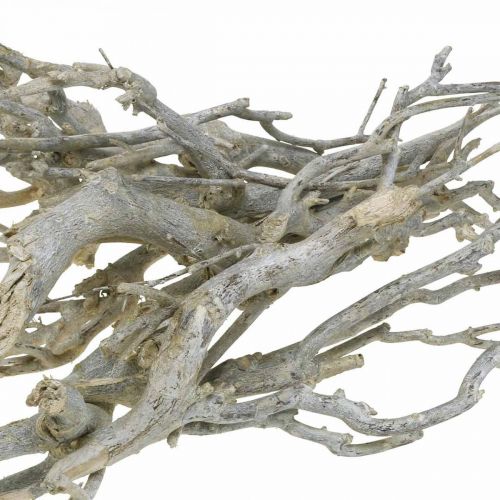 Floristik24 Karrybusk dekorative grene, juledekoration, advent, naturdekoration Gylden, vasket hvid L25–30cm 500g