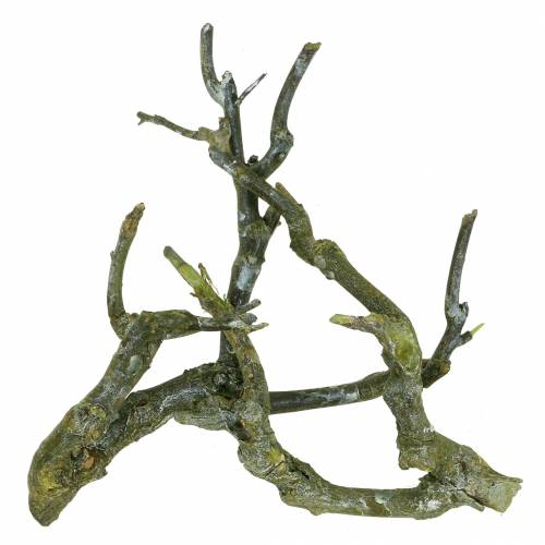 Artikel Deco gren karrybusk grøn vasket 500g