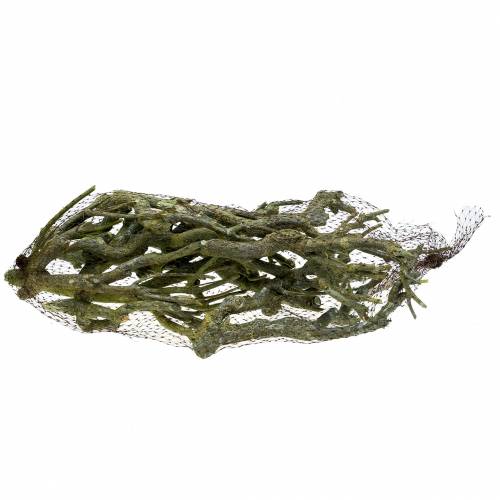 Artikel Deco gren karrybusk grøn vasket 500g