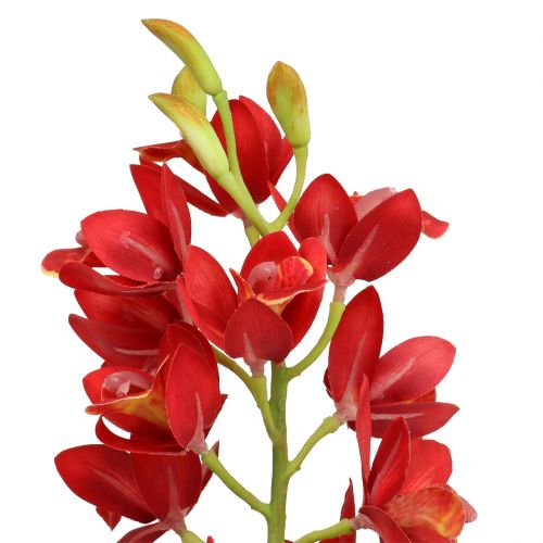 Artikel Orchid cymbidium rød 78 cm