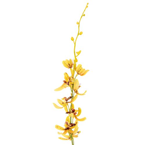 Artikel Kunstig Cymbidium-orkidé som blomsterstilk til elegant dekoration, 95 cm, 2 stk.