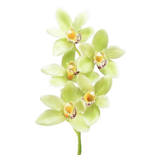 Artikel Cymbidium orkidé kunstig 5 blomster grønne 65cm
