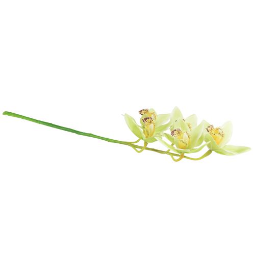 Artikel Cymbidium orkidé kunstig 5 blomster grønne 65cm