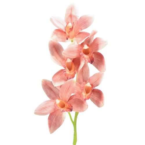 Floristik24 Cymbidium orkidé kunstig 5 blomster fersken 65cm