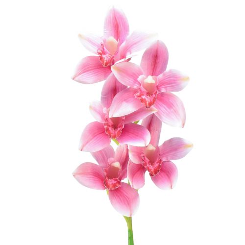 Cymbidium orkidé kunstig 5 blomster pink 65cm