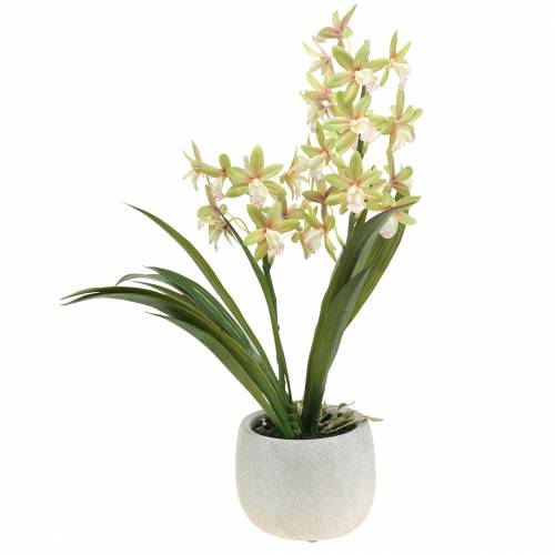 Floristik24 Orchid Cymbidium Grøn i potte Kunstig H46cm