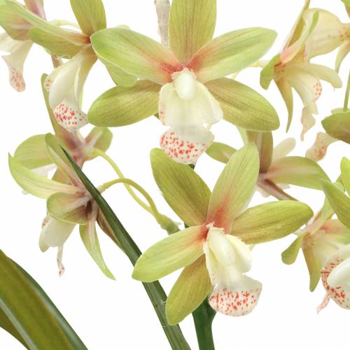 Artikel Orchid Cymbidium Grøn i potte Kunstig H46cm