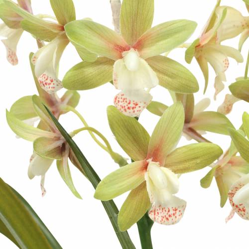 Floristik24 Orchid Cymbidium Grøn i potte Kunstig H46cm