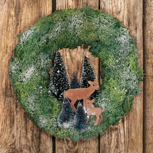 Floristik24 DIY kasse moskrans vinter skovdørkrans jul Ø34cm
