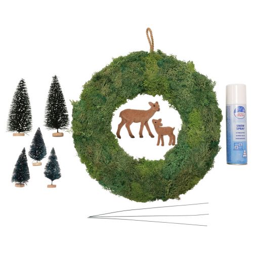 Floristik24 DIY kasse moskrans vinter skovdørkrans jul Ø34cm