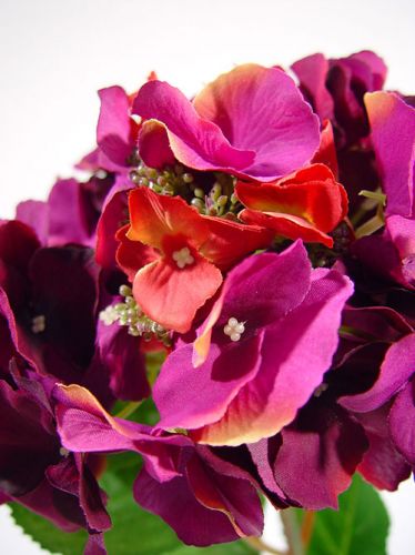 Floristik24 Hortensia 43 cm mørk lilla (3stk.)