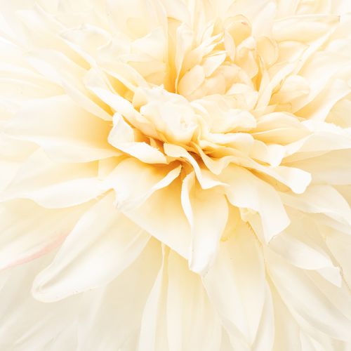Kunstig dahliablomst til vase 68 cm | Floristik24.dk
