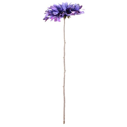 Floristik24 Kunstig dahlia med store blomster i lilla L58cm